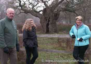 Clare Balding features in film on the trees of Richmond Park