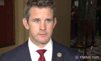 Kinzinger: GOP will 'be a minority party forever' if we keep supporting Trump