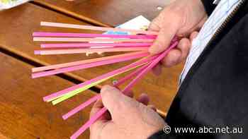 Binning single-use plastic for good: how businesses are preparing for SA's plastic ban