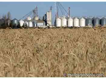 New to 2021: Crop insurance program enhancements unveiled