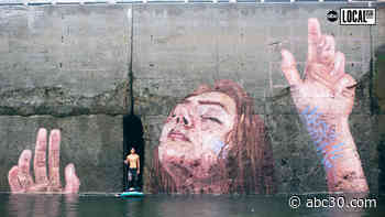 Eco Artists Make Mother Nature Their Canvas