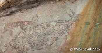 Australia's oldest intact rock painting is a 17,300-year-old kangaroo     - CNET