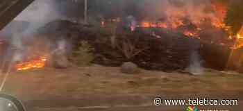 Bomberos batallan con una quema extensa de charral en Santa Ana - Teletica