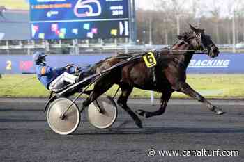 Quinté+ Prix d'Arras, dimanche à Vincennes. DOMINGO D'ELA voit sa régularité récompensée - Canal Turf