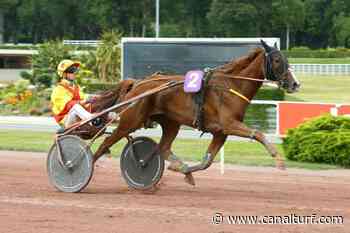 Quinté PMU - Pronostic du PRIX D'ARRAS 21 févr. 2021 - Canal Turf