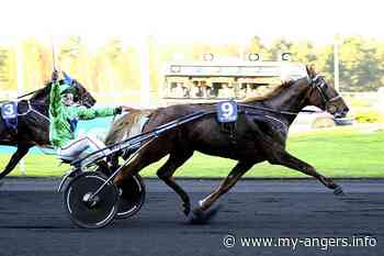 Quinté. Le Prix d’Arras à Vincennes ce dimanche 21 février 2021. - Angers Info