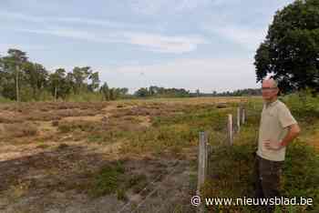 Nieuw plan beheert natuur in Tielenheide en Calievallei