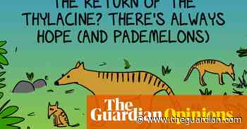 The thylacine that wasn't even though we wish it was | First Dog on the Moon