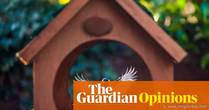 All's fair in love and the suburban bird-feeding wars | Peter White