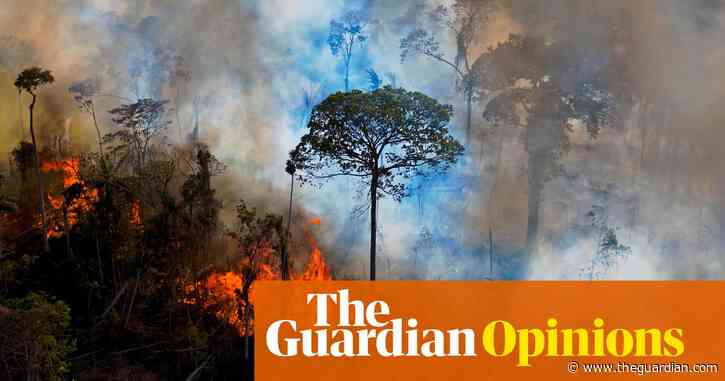 To stop climate disaster, make ecocide an international crime. It's the only way | Jojo Mehta and Julia Jackson