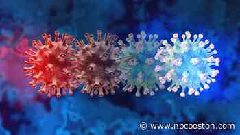UK Coronavirus Variant Detected in Rhode Island for 1st Time - NBC10 Boston