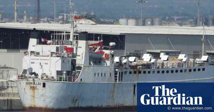 Cattle stranded at sea for two months are likely dead or ‘suffering hell’