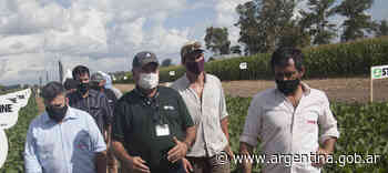 Autoridades del INASE recorrieron semilleros de las provincias de Buenos Aires y Santa Fe - Argentina.gob.ar Presidencia de la Nación