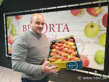 Veiling BelOrta lanceert nieuwe peer 'Fred' (Borgloon) - Het Belang van Limburg Mobile - Het Belang van Limburg