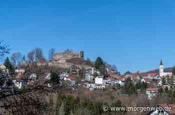 Burgstadt will Heilklima-Region mitgründen - Mannheimer Morgen