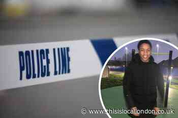 Crime: Met Police make arrest following Tottenham stabbing