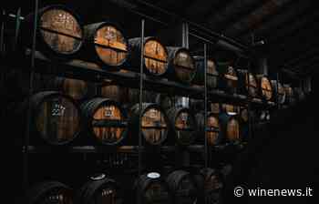 Dalla Slovenia un attacco all'Aceto Balsamico di Modena. I Consorzi: “il Governo intervenga in Ue” - WineNews