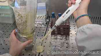 Modena diventa capofila nella lotta allo spreco che parte dal frigo di casa - La Gazzetta di Modena