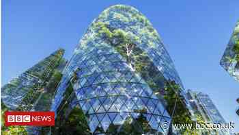 Budget 2021: Chancellor must 'make finance green', say campaigners