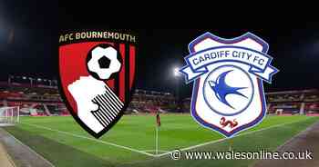 Bournemouth v Cardiff City live - Latest updates