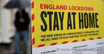 Advertising campaign launched to reinforce England's ‘stay at home’ message