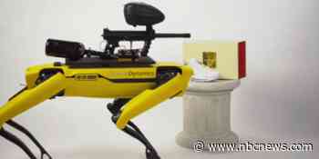 Armed and dangerous? Online art project takes aim at militarization of robotics