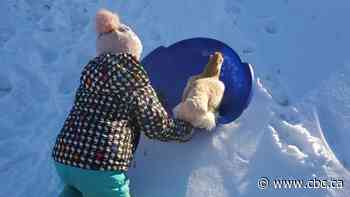 4-year-old Sask. girl takes sled ride with pet chicken