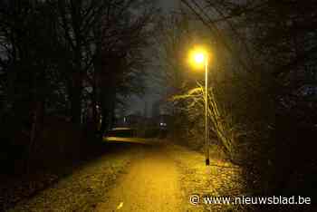 Nachtdiervriendelijke verlichting in Sneppenbosweg