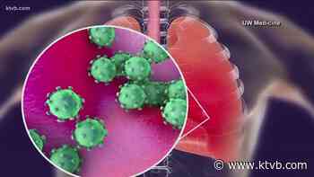 First confirmed infection with UK coronavirus variant in Idaho - KTVB.com