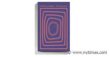 A Writer Shakes Her Family Tree, and Cherishes Every Leaf