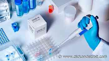 Michigan coronavirus cases up to 583,964; Death toll now at 15,405 - WDIV ClickOnDetroit