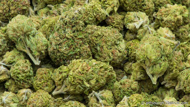 Legalizing Marijuana In Pennsylvania Gets First Republican Sponsor