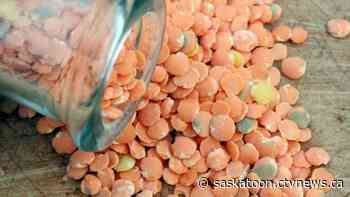 Saskatoon researchers using their work in free digital cookbook