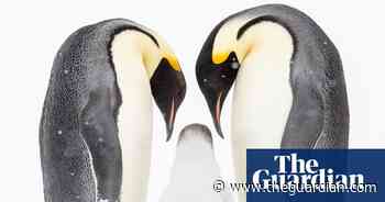 From polar ice to lightning strikes: the 2020 Frank Hurley awards – in pictures