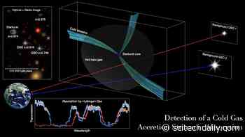 Cosmic Cold Gas Pipelines Detected Feeding Early, Massive Galaxies