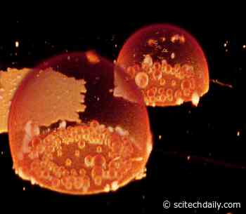 Evidence That Earth’s First Cells – 3.8 Billion Years Ago – Could Have Made Specialized Compartments