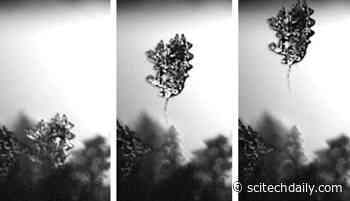 Jumping Frost Crystals: Electrostatic De-icing Effect Could Be a Game-Changer for Aircraft and HVAC Industries