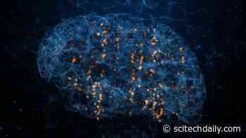 Researchers Discover Molecular Mechanism of Long-Term Memory