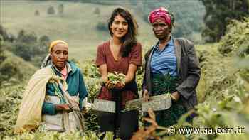 Tanzania: Female entrepreneur transforms tea industry - Anadolu Agency