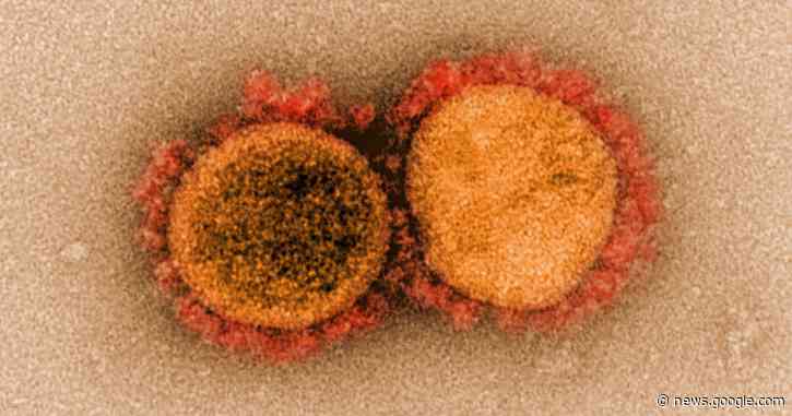 The 'nightmare scenario' for California's coronavirus strain - Los Angeles Times