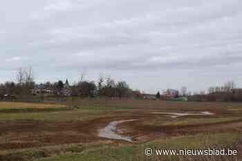 Sint-Annabeek mag weer kronkelen tussen Gors Opleeuw en Jesseren