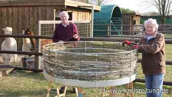 Kinderstube mit klasse Ausblick: Auf Gelände der Kinderbetreuungsreinrichtung „Wichtelgarten“ in Sulingen e... - kreiszeitung.de