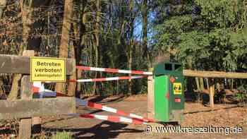 Durch abgestorbene Bäume droht Gefahr im Bürgerpark an der Parkstraße in Sulingen - kreiszeitung.de