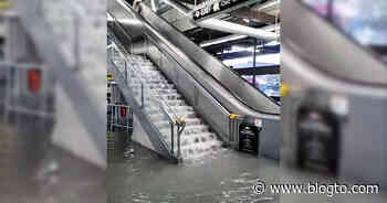Major flooding turns Toronto transit station into terrifying water park - blogTO