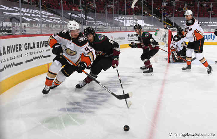 Coyotes Rally From 3 Down To Beat Ducks 4-3 In Shootout