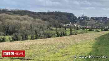 Craigall Rocks: Conservationists' plea to quarry firm