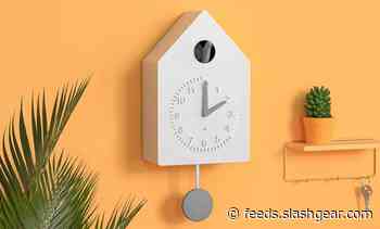 Amazon tests a Smart Cuckoo Clock, but its future is uncertain