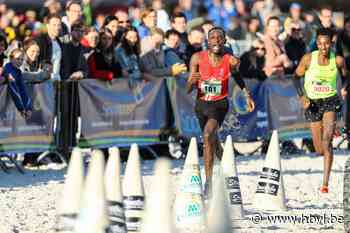 CrossCup-manche in Mol afgelast, Roeselare blijft op de kalender - Het Belang van Limburg