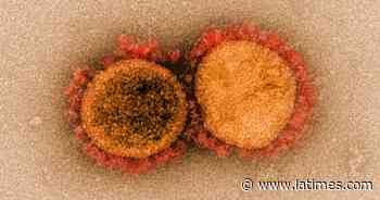 The 'nightmare scenario' for California's coronavirus strain - Los Angeles Times