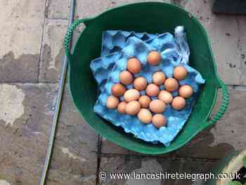 Appeal for CCTV to catch six boys who threw eggs at houses in Hapton